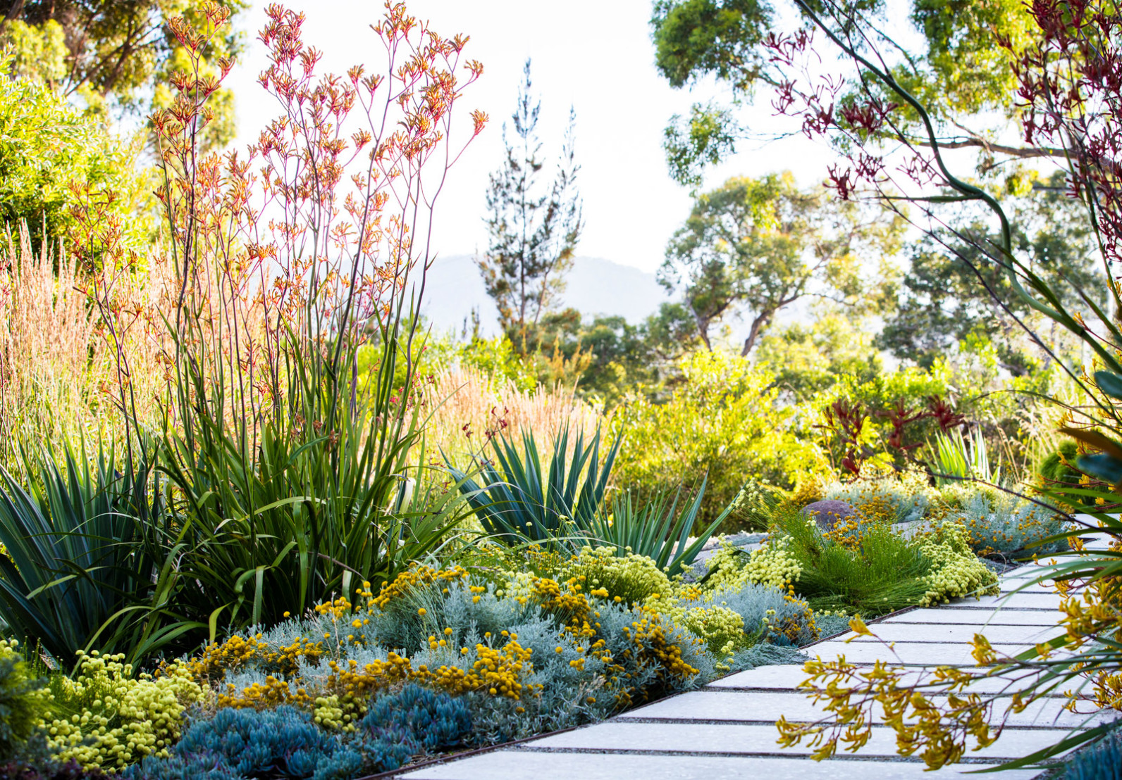 coningham garden image